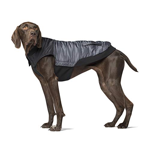 Canada Pooch Hundemantel, Summit Stretch Vest, Weste mit Kunstdaunen für Hunde, Pfeffergrau, Größe 22 von Canada Pooch