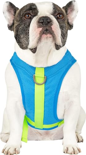 Canada Pooch Kühlgeschirr für Hunde – Verdunstungskühlgeschirr für Hunde mit atmungsaktivem Netzmaterial und reflektierendem Futter, verstellbare Kühlweste für Hunde, ideal für Hunde von Canada Pooch