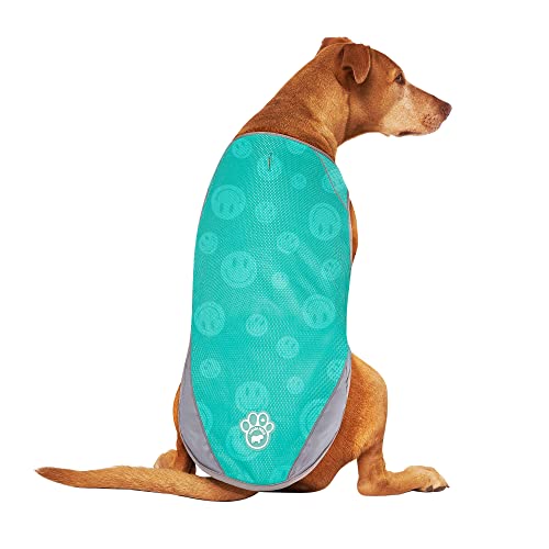 Canada Pooch Wet Reveal Smiley Chill Seeker Kühlweste für Hunde, Größe XXS von Canada Pooch