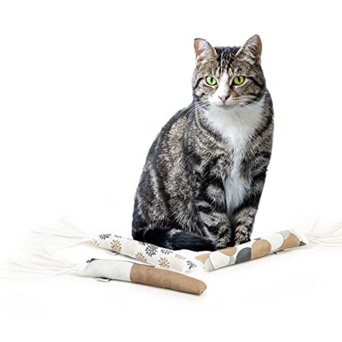 CanadianCat Company | 3er Pack | Spielrolle mit Lederstreifen | 5g Katzenminze Spielzeug für Katzen von CanadianCat Company