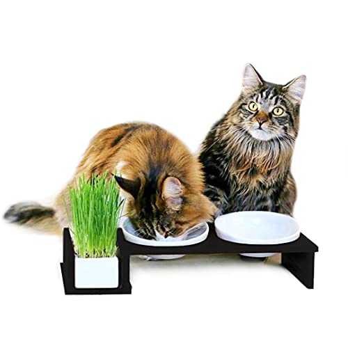 Katzennapf erhöht, Futternapf Katze Cat Diner mit drei Keramik Näpfen, Ø14,5 cm Fressnapf, Futterschale, Futterstation, schwarz von CanadianCat Company