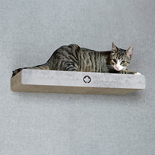 CanadianCat Company | Wandkratzbrett Cloud | betonoptik | ca. 70 x 30 x 8 cm | Kletterwand | Wandmontage | Katzenkratzbrett von CanadianCat Company