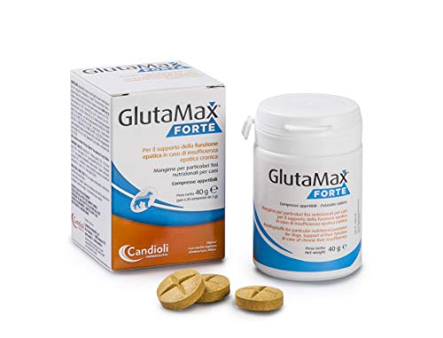 GLUTAMAX FORTE 20CPR von Candioli