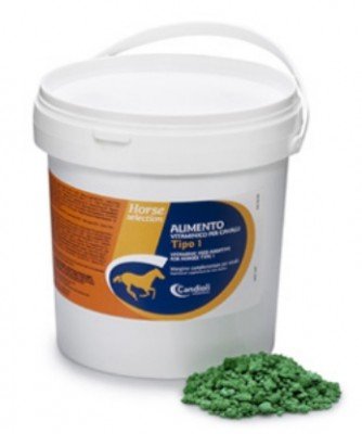 Horse Powder 100 candioli Eimer 20 kg Lebensmittel vitaminreich Pferde Typ 1 von Candioli