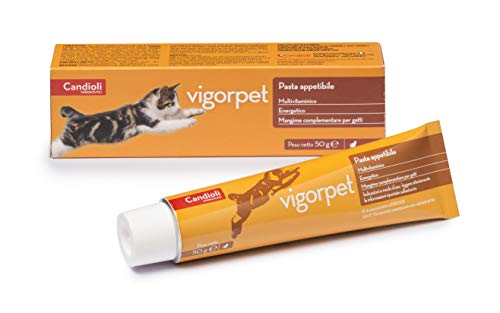 Vigorpet Katzen Pasta 50g von Candioli