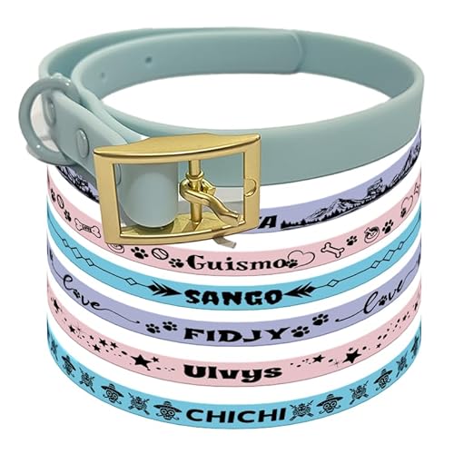 Halsband für Hunde und Katzen, personalisierbar, mit Namen (M, hellblau) von Canicaprice