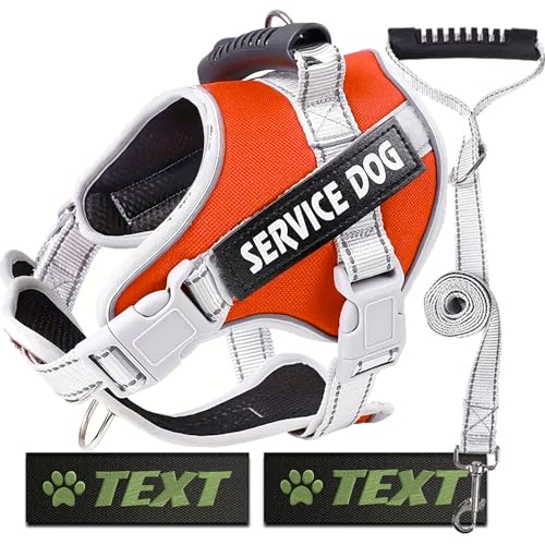 Hundegeschirr Service Dog + Leine + 2 personalisierte Etiketten (Rot, XL) von Canicaprice