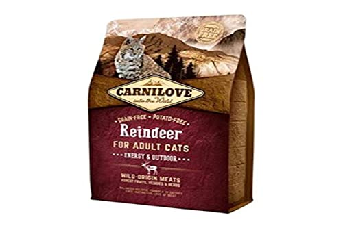 Carnilove 512256 Trockenfutter für Katzen Erwachsene Reno 2 kg Trockenfutter für Katzen (Adulto, Reno, 2 kg, Allrad) von CARNILOVE