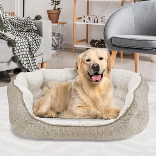 Canine Creations Arlee Home & Pet Cozy Haustierbett, orthopädisch, umweltfreundlich, oval, langlebig, kaubeständig, waschbar, Haustierbett für mittelgroße und große Hunde, Beige von Canine Creations