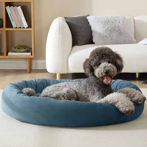 Canine Creations by Arlee Home & Pet Orbit Orthopädisches, langlebiges, kaubeständiges und umweltfreundliches Memory-Schaum, waschbarer Bezug, Haustierbett für große und extra große Hunde, Blau von Canine Creations