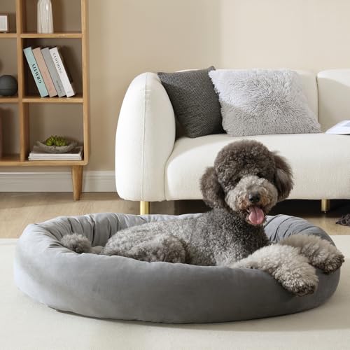 Canine Creations by Arlee Home & Pet Orbit Orthopädisches, langlebiges, kaubeständiges und umweltfreundliches Memory-Schaum, waschbarer Bezug, Haustierbett für große und extra große Hunde, Grau von Canine Creations