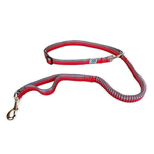 Canine Equipment 75310002 Ultimate 1" Bungee Active 3-in-1 Dog Leash, One Size von Canine Equipment