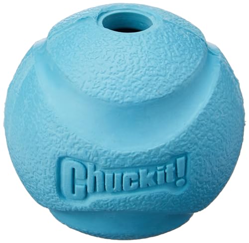 Chuckit! CH19600 Fetch Ball Large 1-er Pack von Chuckit!