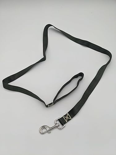 Canine Tactical Taktische Hundeleine aus robustem Nylon - Verstärkte Nähte für Training und Handhabung - Griff bleibt offen, langlebiger drehbarer Clip, kompaktes Taschengröße (Ranger Green, 20 Fuß) von Canine Tactical