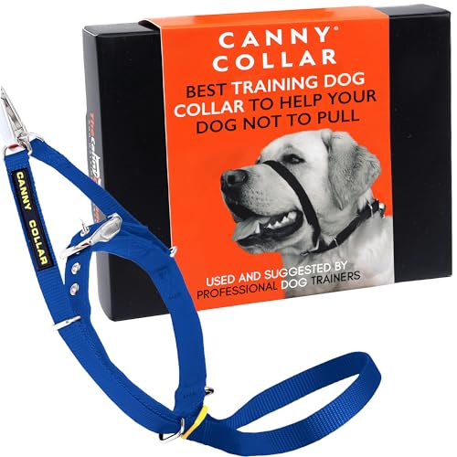 Canny Collar Hundehalfter | Anti-Zug-Halsband für kleine Hunde | Verhindert, DASS Ihr Hund an der Leine zieht | Kopfgeschirr Mit Gepolstertem Halsband | Blau - Größe 2 von Canny