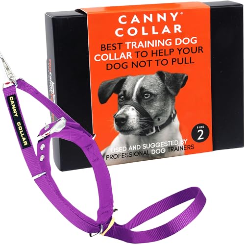 Canny Collar Halsband für Hunde, einfache und effektive Hilfe beim Hundetraining und verhindert das Ziehen von Hunden - Lila von Canny