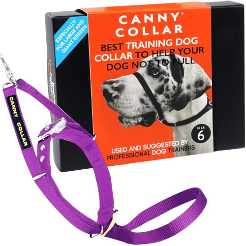 Canny Collar Halsband für Hunde, einfache und effektive Hilfe beim Hundetraining und verhindert das Ziehen von Hunden - Lila von Canny