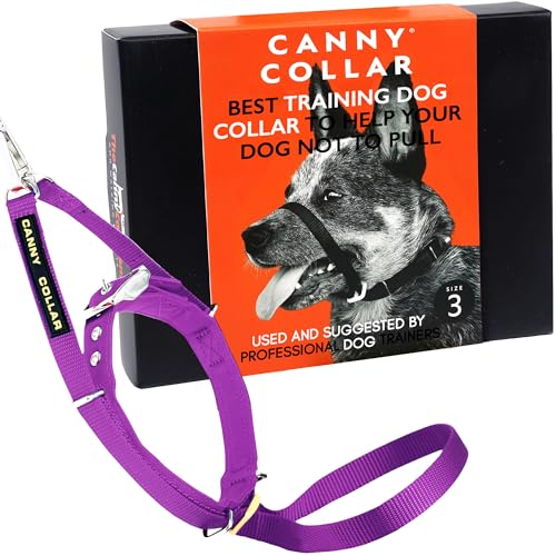 Canny Collar Hundehalfter | Anti-Zug-Halsband für mittelgroße Hunde | Verhindert, DASS Ihr Hund an der Leine zieht | Kopfgeschirr Mit Gepolstertem Halsband | Lila - Größe 3 von Canny