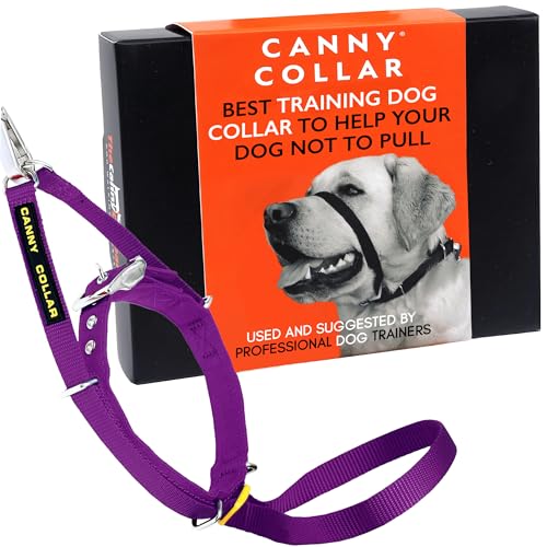 Canny Collar Hundehalfter | Anti-Zug-Halsband für mittelgroße Hunde | Verhindert, DASS Ihr Hund an der Leine zieht | Kopfgeschirr Mit Gepolstertem Halsband | Lila - Größe 3 von Canny