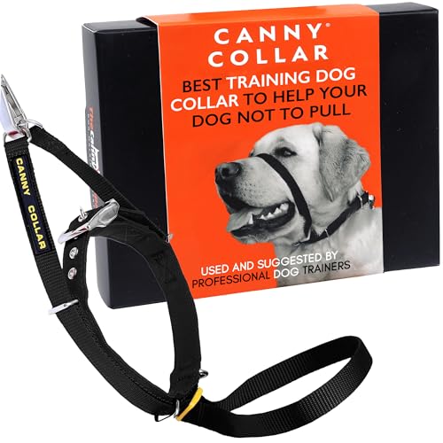 Canny Collar Hundehalfter | Anti-Zug-Halsband für große Hunde | Verhindert, DASS Ihr Hund an der Leine zieht | Kopfgeschirr Mit Gepolstertem Halsband | Schwarz - Größe 5 von Canny