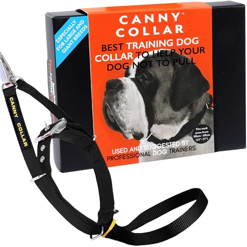 Canny Halsband – The Canny Colossus Hundehalsband für große Hunderassen, einfache und effektive Hilfe beim Hundetraining, damit Ihr großer Hund nicht an der Leine zieht, schwarz von Canny