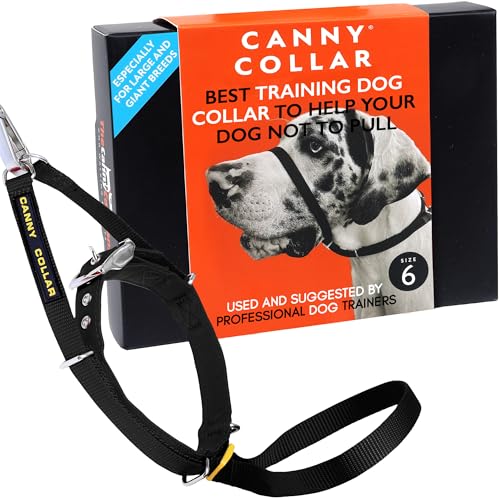 Canny Dog Collar Black Größe 6 von Canny