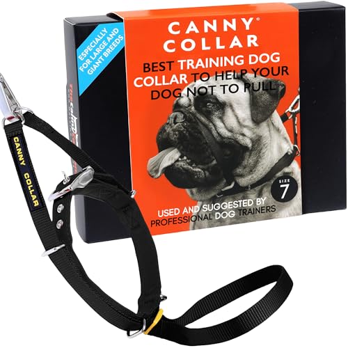 Canny Dog Collar Black Größe 7 von Canny