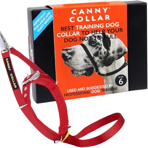 Canny Dog Collar Red Größe 6 von Canny