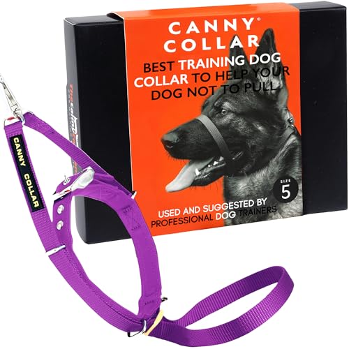 Canny Collar Halsband für Hunde, einfache und effektive Hilfe beim Hundetraining und verhindert das Ziehen von Hunden - Lila von Canny