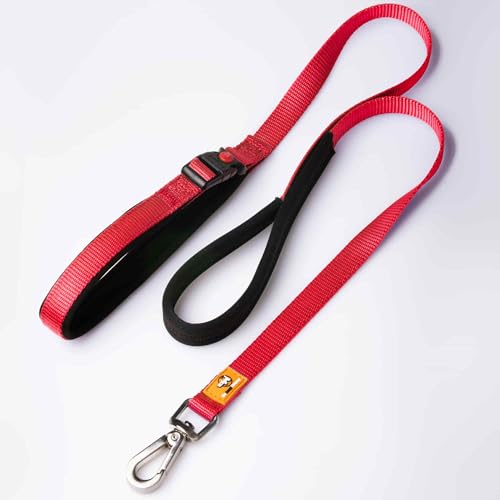 Canny Leash Connect Robuste Hundeleine, für kleine, mittelgroße und große Hunde, Leine mit Griff, Schnalle, gepolstertem Griff und sicherem Clip, binden Sie Ihren Hund überall, Länge 1,2 m, Breite 1,6 von Canny