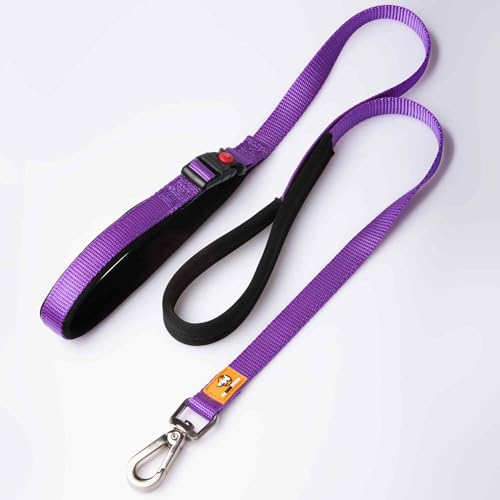 Canny Leash Connect Robuste Hundeleine, für kleine, mittelgroße und große Hunde, Leine mit Griff, Schnalle, gepolstertem Griff und sicherem Clip, binden Sie Ihren Hund überall, Länge 1,2 m, Breite 2,5 von Canny