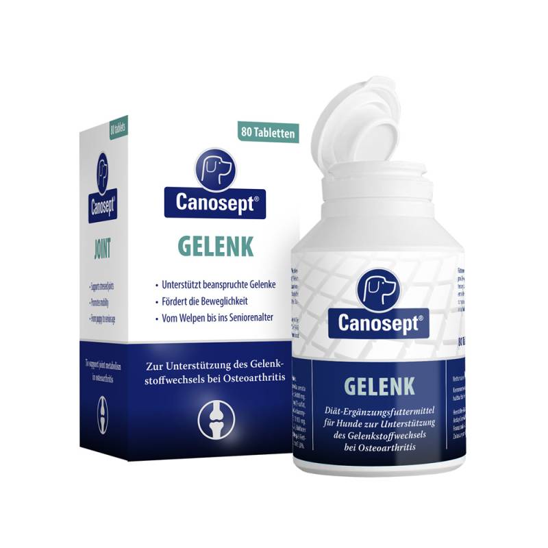 Canosept Gelenk - für große Hunde, 80 Tabletten von Canosept