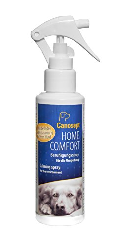 Canosept Home Comfort Spray 100ml - Pflanzliches Umgebungsspray - Beruhigungsmittel für Hunde für mehr Wohlbefinden & Entspannung - Hund Beruhigung Spray mit Baldrian und Lavendel von Canosept