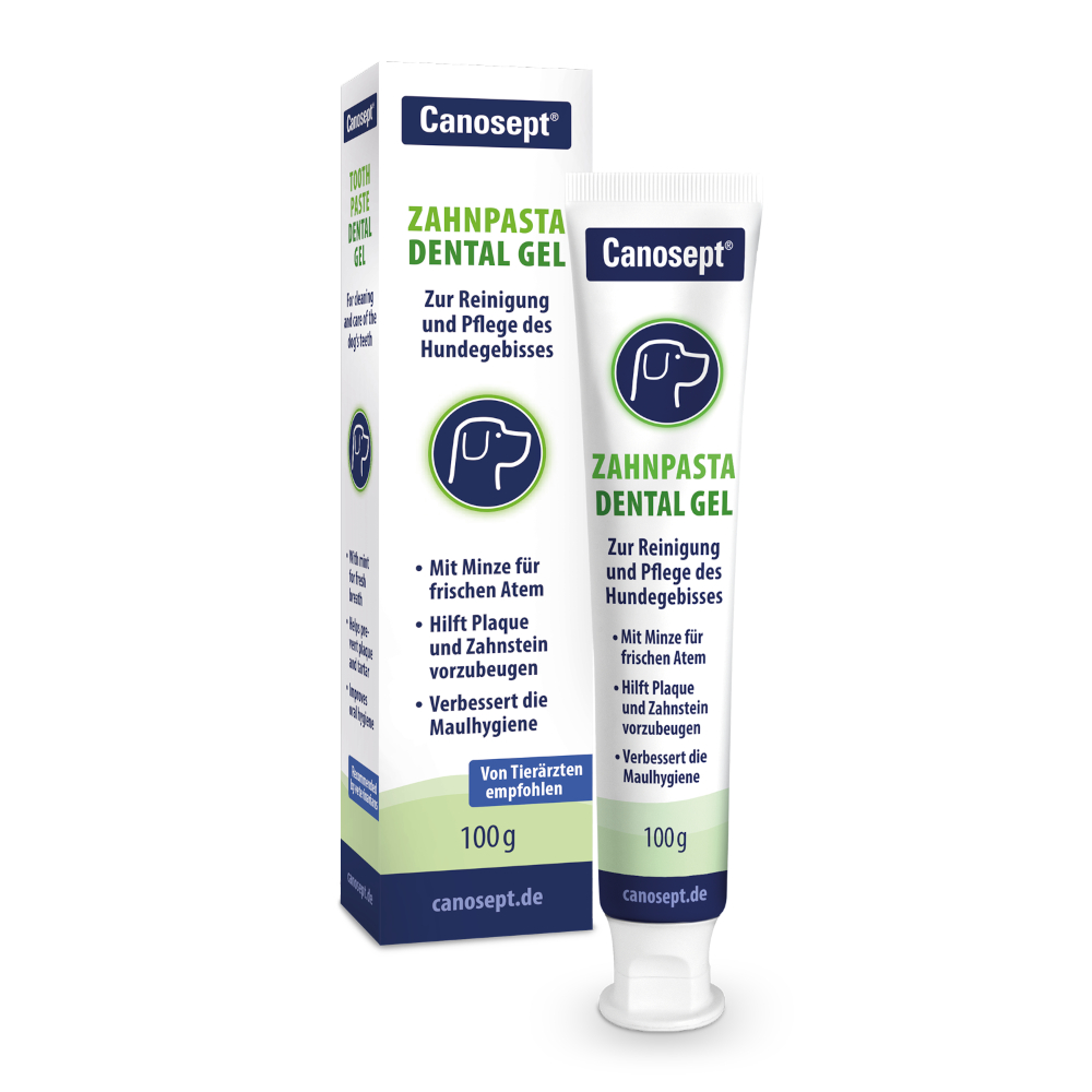 Canosept Zahnpasta Dental Gel - 100 g von Canosept