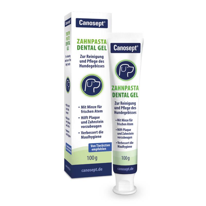 Canosept Zahnpasta Dental Gel - 2 x 100 g von Canosept