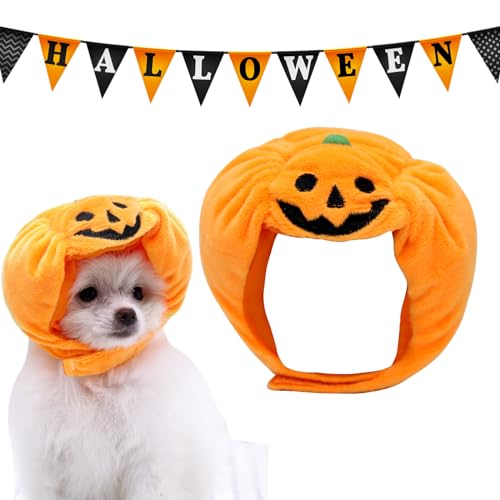 Canzoon Haustier Halloween Kostüm Hunde Katzen Kleidung Halloween Kürbishut Halloween Haustierhut Halloween Kopfbedeckung für Katzen, kleine Hunde oder Welpen, für Halloween, Partys, Feste von Canzoon