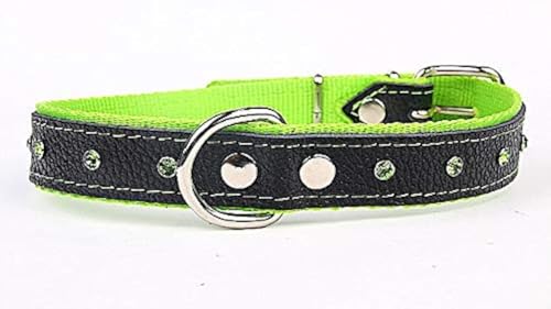 Capadi K0125 Hundehalsband verziert mit farbigen Chrystalsteinen weich unterlegt und Starkes Halsband aus Echtleder, Grün, Breite 30 mm, Länge 60 cm von Capadi