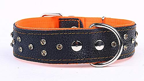 Capadi K0146 Hundehalsband verziert mit farbigen Chrystalsteinen weich unterlegt und Starkes Halsband aus Echtleder, Orange, Breite 40 mm, Länge 65 cm von Capadi