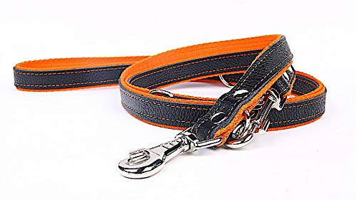 Capadi K0186 Einstellbare Hundeleine aus echtem strapazierfähiges Leder gefüttert mit starkem Nylon, Orange, Breite 12 mm, Länge 220 cm von Capadi