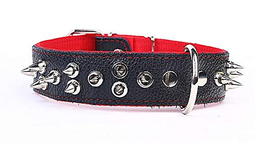 Capadi K0412 Breiter Hundehalsband für Bulldoge mit kleinen Nietenverzierungen aus echtem strapazierfähiges Leder weich unterlegt, Rot, Breite 40 mm, Länge 65 cm von Capadi