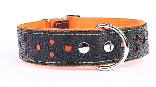 Capadi K0426 Hundehalsband breit reflektierend aus echtem strapazierfähiges Leder weich unterlegt, Orange, Breite 40 mm, Länge 55 cm von Capadi