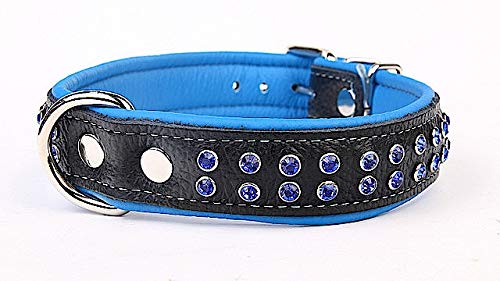 Capadi K0763 Hundehalsband mit Napaleder unterlegt und Starkes Hundehalsband aus Echtleder verziert mit farbigen Kristalsteinen, Blau, Breite 30 mm, Länge 63 cm von Capadi