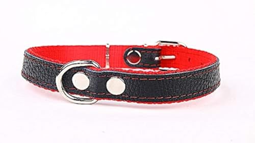 Hundehalsband weich unterlegt und starkes Halsband aus Echtleder Rot Breite 40mm Länge 65cm von Capadi