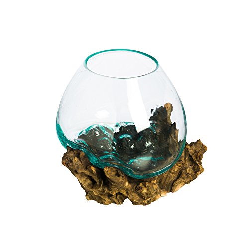 Cape Craftsmen Mundgeblasenes blaugetöntes Bubble Glas auf natürlichem Teakholz-Terrarium | Heimdekoration Innen-Pflanzgefäß mit Ständer | Topf für Sukkulenten und Pflanzen | Größe M 25,4 cm hoch von Cape Craftsmen