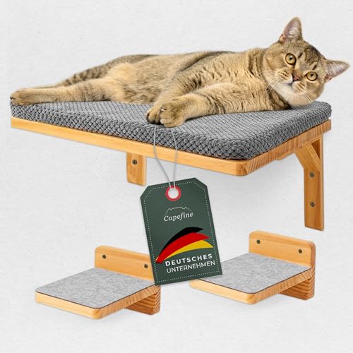 Capefine- Edles Katzenkletterwand Set inkl. Katzentreppe. Katzen Wandmöbel-Set zum Wohlfühlen. Katzenbett Wand I Katzenmöbel I Wandkratzbaum für Katzen I Wandregal Katze von Capefine