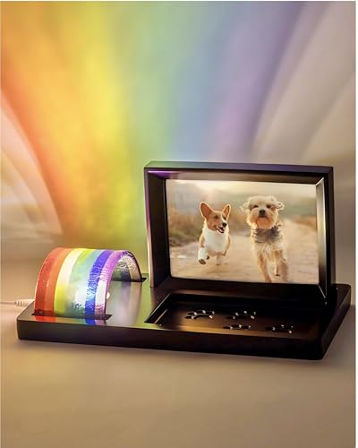 Capti Regenbogen Brücke Licht und Hund Fotorahmen - Strahlende Hund Gedenkgeschenke für den Verlust von Haustier, Regenbogen Glas Hund Gedenkrahmen, LED-Licht, für Trauer, Trauer und Verlust eines von Capti