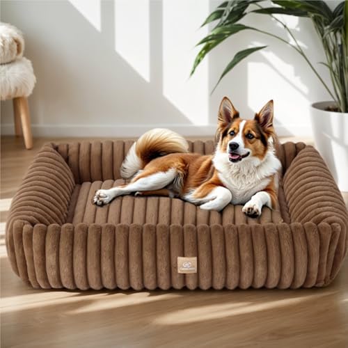 CareCooo Hundebett Mittelgroße Hunde & Flauschig Hundebett große Hunde,Cord Fleece Hundesofa: Weich, Robust & Bequem - Waschbar, rutschfest, Ideal für Zuhause & Schlaf (Braun, L-92x69x20cm) von CareCooo