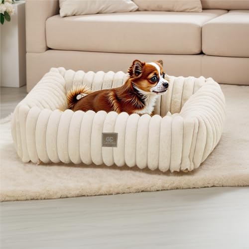 CareCooo Hundebett kleine Hunde - Flauschig Hundebett mit weichem, Cord Fleece Hundesofa, rutschfestem Boden, leicht zu reinigen, ideal für Schlaf & Zuhause(weiß,S-50x48x15cm) von CareCooo