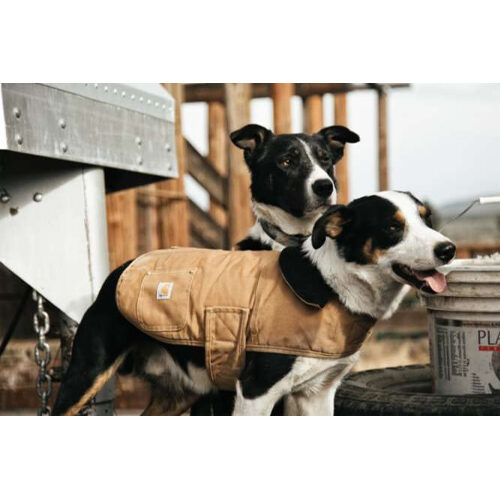 Carhartt Dog Chore Coat - Braun - M von Carhartt