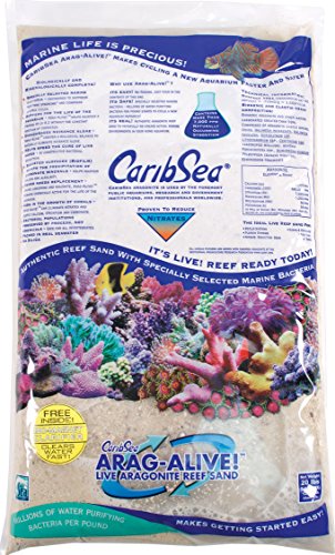 CARIB SEA 455 ml arag-Alive 2er 9 kg Spezial Reef Sand, Bimini-Pink von Carib Sea